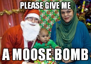 PLEASE GIVE ME A MOOSE BOMB | made w/ Imgflip meme maker