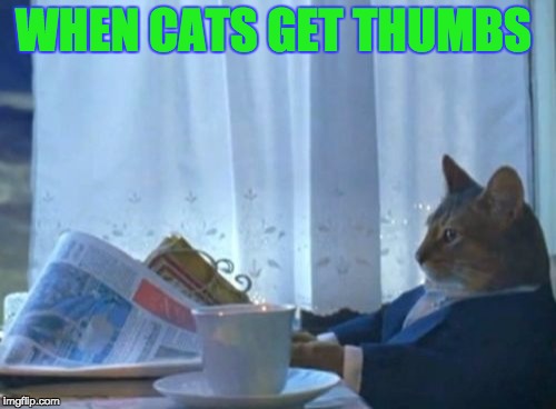 I Should Buy A Boat Cat Meme | WHEN CATS GET THUMBS | image tagged in memes,i should buy a boat cat | made w/ Imgflip meme maker