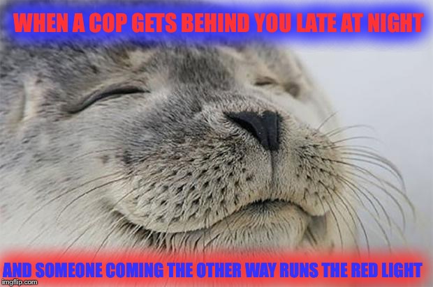 Saved by the bad driver | WHEN A COP GETS BEHIND YOU LATE AT NIGHT AND SOMEONE COMING THE OTHER WAY RUNS THE RED LIGHT | image tagged in memes,satisfied seal | made w/ Imgflip meme maker