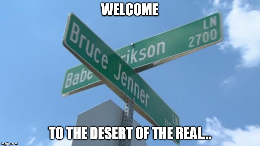 Caitlyn is the simulacrum of Bruce | WELCOME TO THE DESERT OF THE REAL... | image tagged in bruce jenner street,simulacrum | made w/ Imgflip meme maker