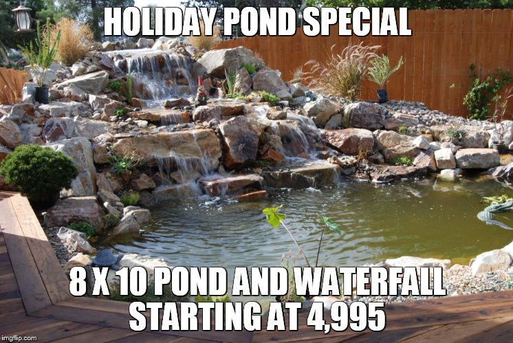 HOLIDAY POND SPECIAL 8 X 10 POND AND WATERFALL STARTING AT 4,995 | made w/ Imgflip meme maker