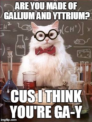 Science Cat Good Day | ARE YOU MADE OF GALLIUM AND YTTRIUM? CUS I THINK YOU'RE GA-Y | image tagged in science cat good day | made w/ Imgflip meme maker
