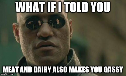 Matrix Morpheus Meme | WHAT IF I TOLD YOU MEAT AND DAIRY ALSO MAKES YOU GASSY | image tagged in memes,matrix morpheus | made w/ Imgflip meme maker