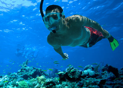 snorkeling Blank Meme Template