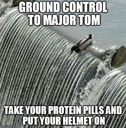 I Should Have Seen It Coming Mallard | GROUND CONTROL TO MAJOR TOM TAKE YOUR PROTEIN PILLSAND PUT YOUR HELMET ON | image tagged in i should have seen it coming mallard | made w/ Imgflip meme maker