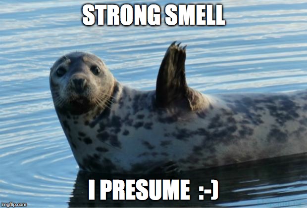 Seal | STRONG SMELL I PRESUME  :-) | image tagged in seal | made w/ Imgflip meme maker