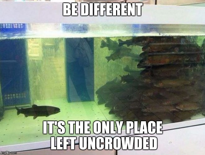 Unpopular Fish | BE DIFFERENT IT'S THE ONLY PLACE LEFT UNCROWDED | image tagged in unpopular fish | made w/ Imgflip meme maker