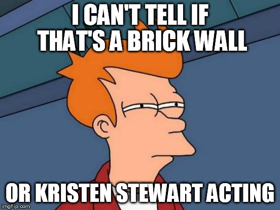 Futurama Fry Meme | I CAN'T TELL IF THAT'S A BRICK WALL OR KRISTEN STEWART ACTING | image tagged in memes,futurama fry | made w/ Imgflip meme maker