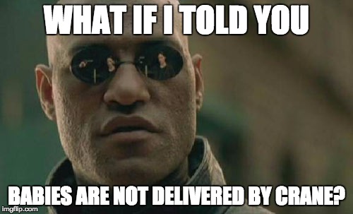 Matrix Morpheus | WHAT IF I TOLD YOU BABIES ARE NOT DELIVERED BY CRANE? | image tagged in memes,matrix morpheus | made w/ Imgflip meme maker