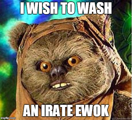 Ewok | I WISH TO WASH AN IRATE EWOK | image tagged in ewok | made w/ Imgflip meme maker