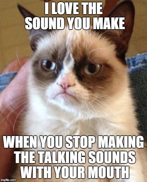 A little message to my brother... | I LOVE THE SOUND YOU MAKE WHEN YOU STOP MAKING THE TALKING SOUNDS WITH YOUR MOUTH | image tagged in memes,grumpy cat | made w/ Imgflip meme maker