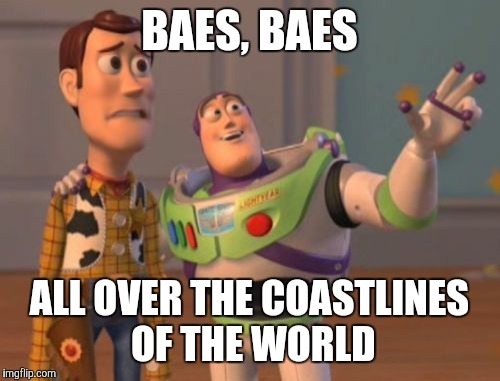 X, X Everywhere Meme | BAES, BAES ALL OVER THE COASTLINES OF THE WORLD | image tagged in memes,x x everywhere | made w/ Imgflip meme maker