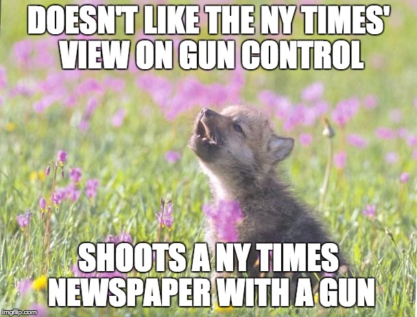 Baby Insanity Wolf Meme | DOESN'T LIKE THE NY TIMES' VIEW ON GUN CONTROL SHOOTS A NY TIMES NEWSPAPER WITH A GUN | image tagged in memes,baby insanity wolf | made w/ Imgflip meme maker