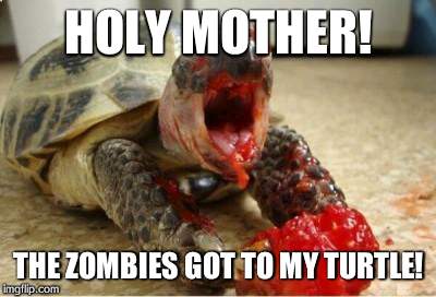 ZOMBIE TURTLE | HOLY MOTHER! THE ZOMBIES GOT TO MY TURTLE! | image tagged in zombie turtle | made w/ Imgflip meme maker
