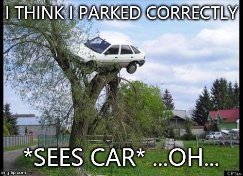 Secure Parking | I THINK I PARKED CORRECTLY *SEES CAR*
...OH... | image tagged in memes,secure parking | made w/ Imgflip meme maker