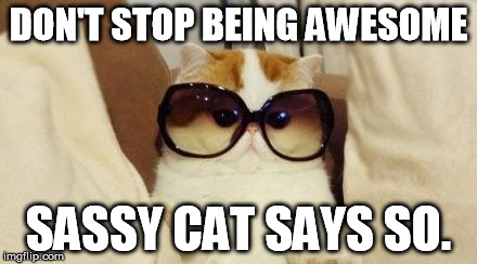 DON'T STOP BEING AWESOME SASSY CAT SAYS SO. | image tagged in awesome,cat | made w/ Imgflip meme maker
