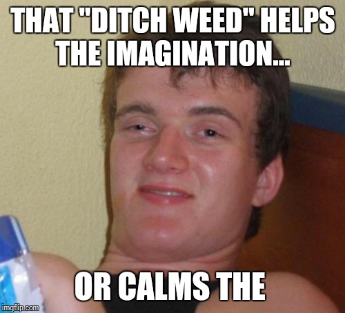 10 Guy Meme | THAT "DITCH WEED" HELPS THE IMAGINATION... OR CALMS THE | image tagged in memes,10 guy | made w/ Imgflip meme maker