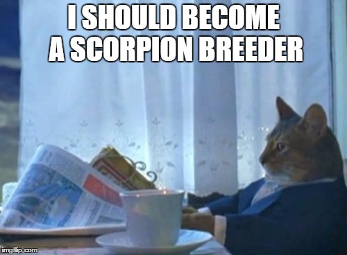 I Should Buy A Boat Cat | I SHOULD BECOME A SCORPION BREEDER | image tagged in memes,i should buy a boat cat,AdviceAnimals | made w/ Imgflip meme maker
