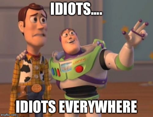 X, X Everywhere | IDIOTS.... IDIOTS EVERYWHERE | image tagged in memes,x x everywhere | made w/ Imgflip meme maker