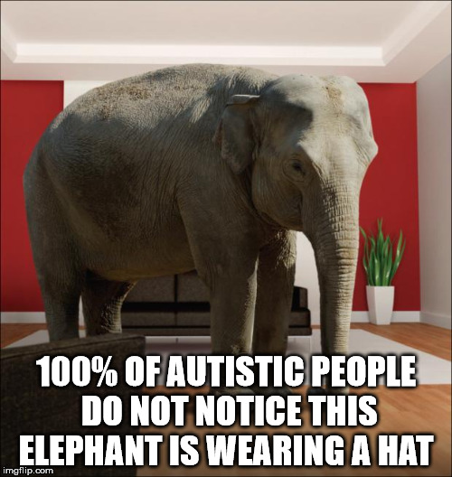 Elephant In The Room | 100% OF AUTISTIC PEOPLE DO NOT NOTICE THIS ELEPHANT IS WEARING A HAT | image tagged in elephant in the room | made w/ Imgflip meme maker