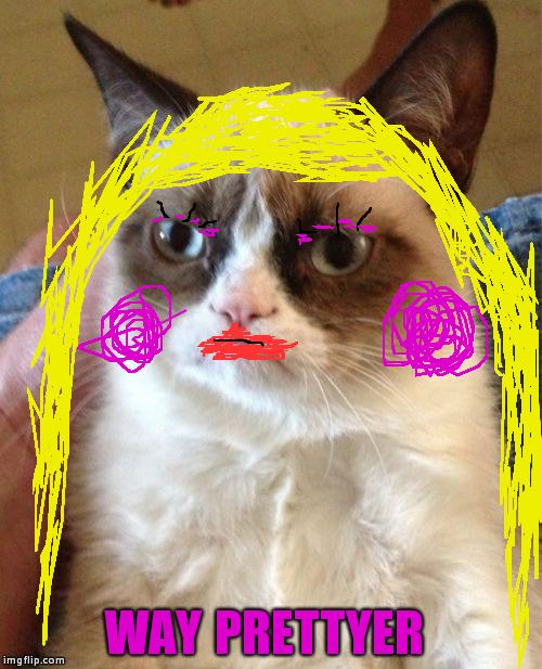 Grumpy Cat Meme | WAY PRETTYER | image tagged in memes,grumpy cat | made w/ Imgflip meme maker