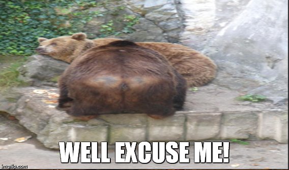 WELL EXCUSE ME! | made w/ Imgflip meme maker