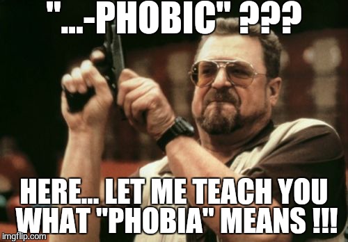 Am I The Only One Around Here Meme | "...-PHOBIC" ??? HERE... LET ME TEACH YOU WHAT "PHOBIA" MEANS !!! | image tagged in memes,am i the only one around here | made w/ Imgflip meme maker