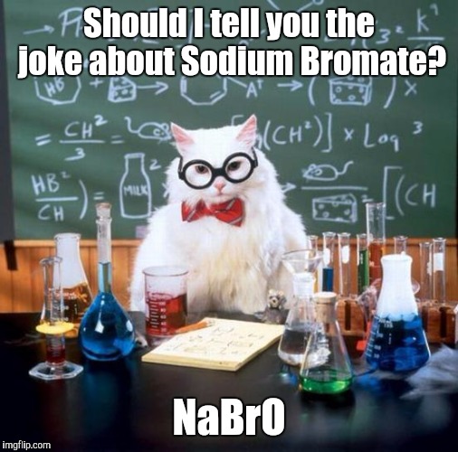 Chemistry Cat Meme | Should I tell you the joke about Sodium Bromate? NaBrO | image tagged in memes,chemistry cat | made w/ Imgflip meme maker