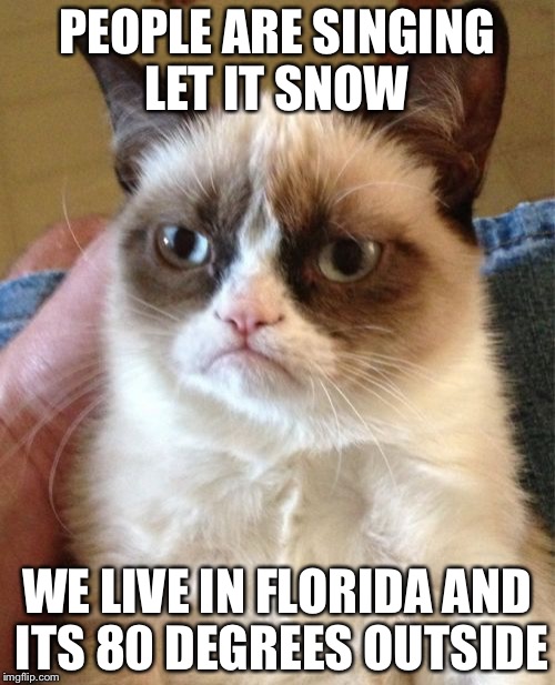 Smh | PEOPLE ARE SINGING LET IT SNOW WE LIVE IN FLORIDA AND ITS 80 DEGREES OUTSIDE | image tagged in memes,grumpy cat,florida,snow,funny | made w/ Imgflip meme maker