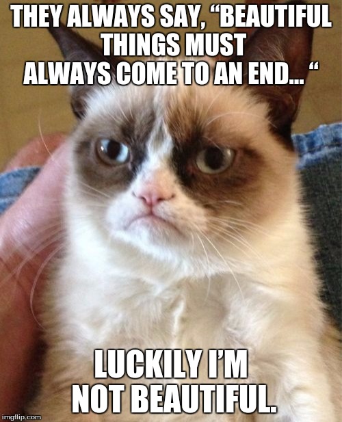 Grumpy Cat | THEY ALWAYS SAY, “BEAUTIFUL THINGS MUST ALWAYS COME TO AN END… “ LUCKILY I’M NOT BEAUTIFUL. | image tagged in memes,grumpy cat | made w/ Imgflip meme maker