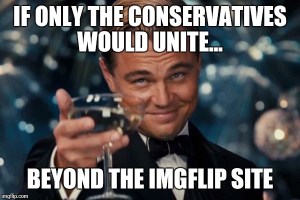 Leonardo Dicaprio Cheers Meme | IF ONLY THE CONSERVATIVES WOULD UNITE... BEYOND THE IMGFLIP SITE | image tagged in memes,leonardo dicaprio cheers | made w/ Imgflip meme maker