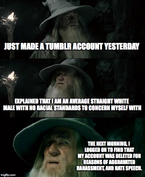 Confused Gandalf Meme | JUST MADE A TUMBLR ACCOUNT YESTERDAY EXPLAINED THAT I AM AN AVERAGE STRAIGHT WHITE MALE WITH NO RACIAL STANDARDS TO CONCERN MYSELF WITH THE  | image tagged in memes,confused gandalf | made w/ Imgflip meme maker