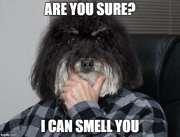 ARE YOU SURE? I CAN SMELL YOU | made w/ Imgflip meme maker