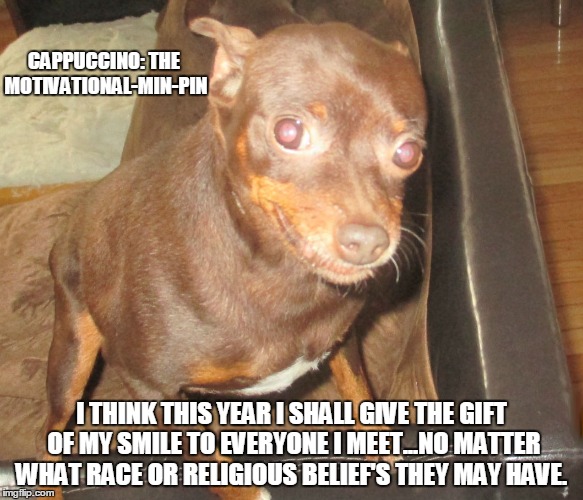 Cappuccino: The Motivational-Min-Pin | CAPPUCCINO: THE MOTIVATIONAL-MIN-PIN I THINK THIS YEAR I SHALL GIVE THE GIFT OF MY SMILE TO EVERYONE I MEET...NO MATTER WHAT RACE OR RELIGIO | image tagged in funny dogs,funny memes,memes,dogs | made w/ Imgflip meme maker