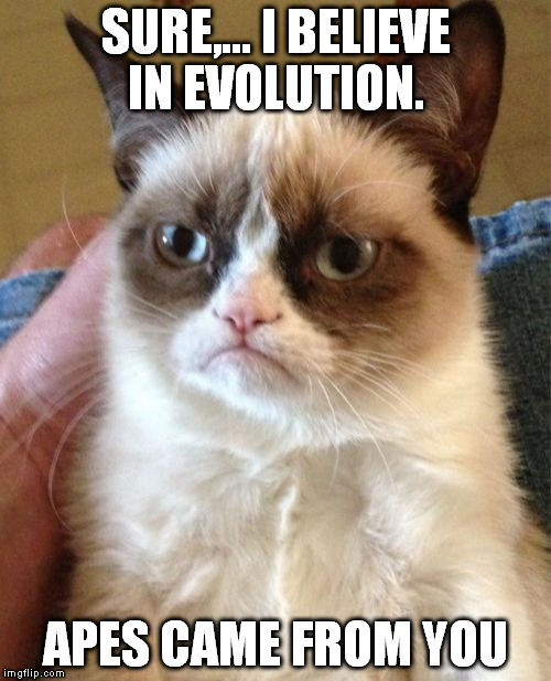 Grumpy Cat Meme | SURE,... I BELIEVE IN EVOLUTION. APES CAME FROM YOU | image tagged in memes,grumpy cat | made w/ Imgflip meme maker