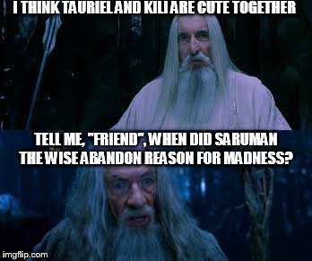tell me friend | I THINK TAURIEL AND KILI ARE CUTE TOGETHER TELL ME, "FRIEND", WHEN DID SARUMAN THE WISE ABANDON REASON FOR MADNESS? | image tagged in the lord of the rings | made w/ Imgflip meme maker