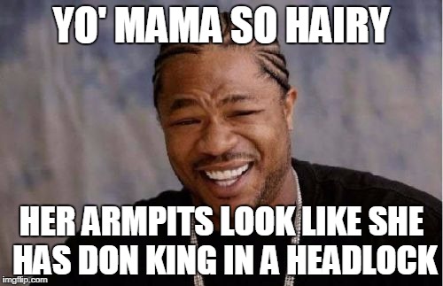 Yo Dawg Heard You Meme | YO' MAMA SO HAIRY HER ARMPITS LOOK LIKE SHE HAS DON KING IN A HEADLOCK | image tagged in memes,yo dawg heard you | made w/ Imgflip meme maker