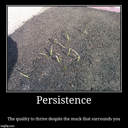 image tagged in funny,demotivationals | made w/ Imgflip demotivational maker