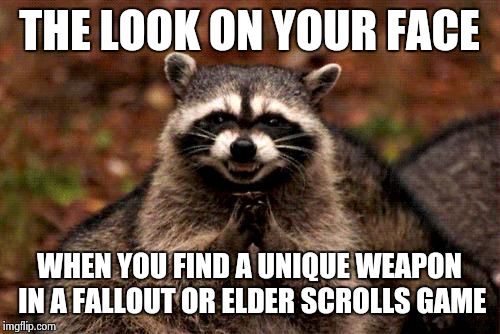 Evil Plotting Raccoon | THE LOOK ON YOUR FACE WHEN YOU FIND A UNIQUE WEAPON IN A FALLOUT OR ELDER SCROLLS GAME | image tagged in memes,evil plotting raccoon | made w/ Imgflip meme maker