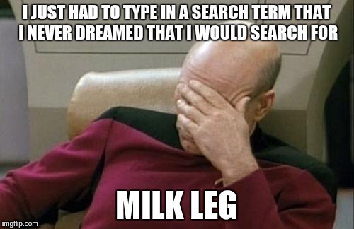 Captain Picard Facepalm | I JUST HAD TO TYPE IN A SEARCH TERM THAT I NEVER DREAMED THAT I WOULD SEARCH FOR MILK LEG | image tagged in memes,captain picard facepalm | made w/ Imgflip meme maker