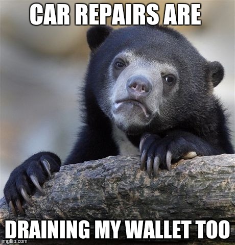 Confession Bear Meme | CAR REPAIRS ARE DRAINING MY WALLET TOO | image tagged in memes,confession bear | made w/ Imgflip meme maker