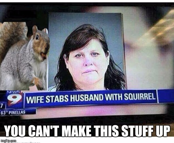 Squirrel is weapon of choice | YOU CAN'T MAKE THIS STUFF UP | image tagged in news,funny memes,memes,squirrel,crazy lady | made w/ Imgflip meme maker