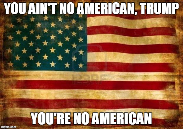 Old American Flag | YOU AIN'T NO AMERICAN, TRUMP YOU'RE NO AMERICAN | image tagged in old american flag | made w/ Imgflip meme maker