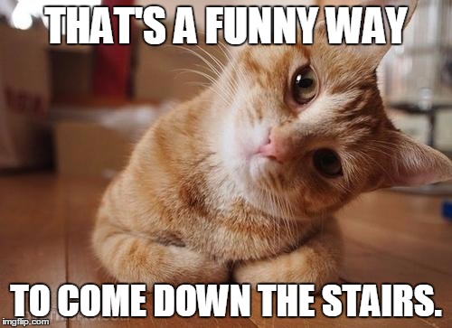 Curious Question Cat | THAT'S A FUNNY WAY TO COME DOWN THE STAIRS. | image tagged in curious question cat | made w/ Imgflip meme maker