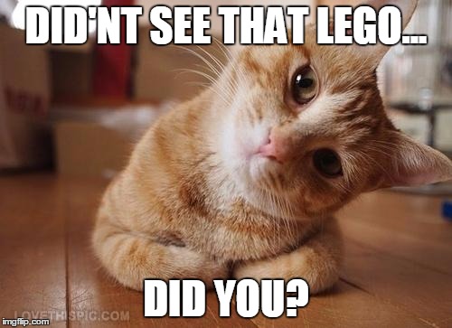 Curious Question Cat | DID'NT SEE THAT LEGO... DID YOU? | image tagged in curious question cat | made w/ Imgflip meme maker