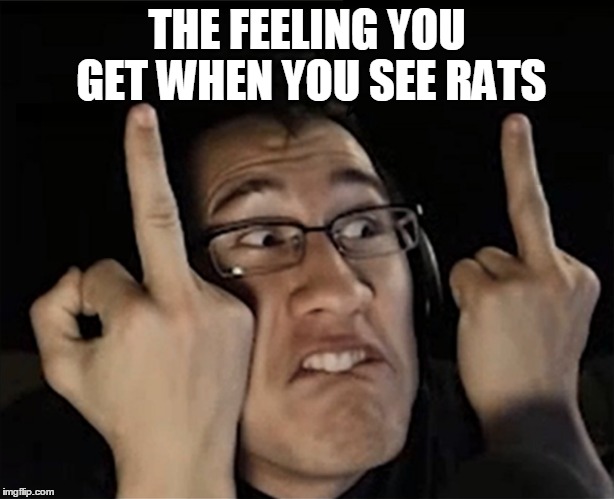 doublefinger defense | THE FEELING YOU GET WHEN YOU SEE RATS | image tagged in memes | made w/ Imgflip meme maker