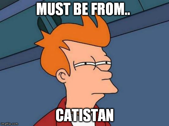 Futurama Fry Meme | MUST BE FROM.. CATISTAN | image tagged in memes,futurama fry | made w/ Imgflip meme maker