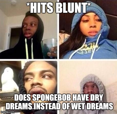*Hits blunt | *HITS BLUNT* DOES SPONGEBOB HAVE DRY DREAMS INSTEAD OF WET DREAMS | image tagged in hits blunt | made w/ Imgflip meme maker