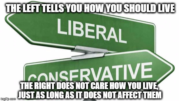 politics | THE LEFT TELLS YOU HOW YOU SHOULD LIVE THE RIGHT DOES NOT CARE HOW YOU LIVE, JUST AS LONG AS IT DOES NOT AFFECT THEM | image tagged in politics | made w/ Imgflip meme maker