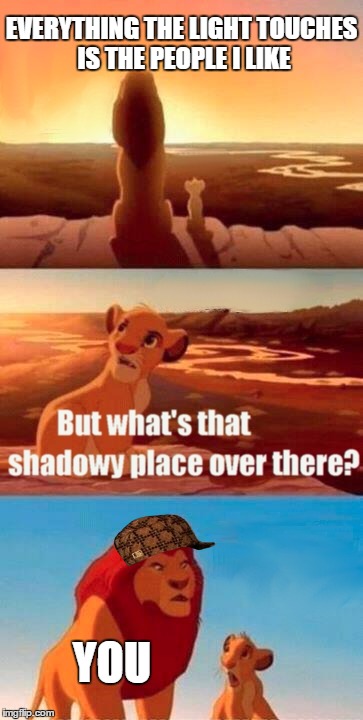 Simba Shadowy Place | EVERYTHING THE LIGHT TOUCHES IS THE PEOPLE I LIKE YOU | image tagged in memes,simba shadowy place,scumbag | made w/ Imgflip meme maker